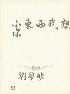 小东西我想弄坏你