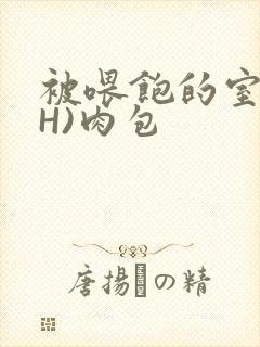 被喂饱的室友(H)肉包