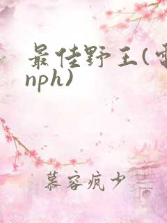 最佳野王(电竞nph)