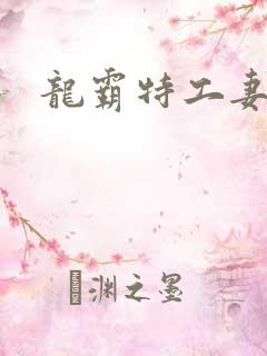 龙霸特工妻