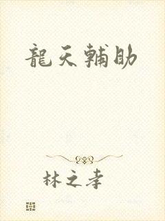 龙天辅助