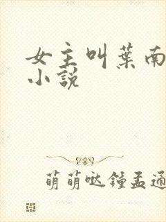 女主叫叶南初的小说