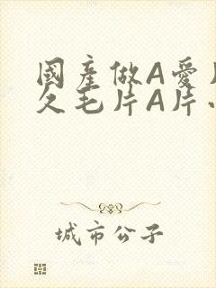 国产做A爱片久久毛片A片小说