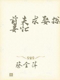 前夫求娶总裁追妻忙