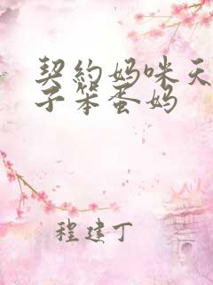 契约妈咪天才儿子笨蛋妈