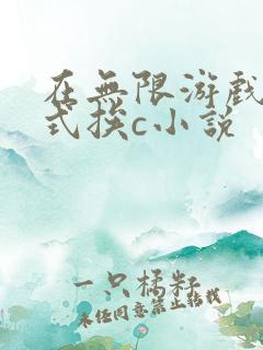 在无限游戏里花式挨c小说