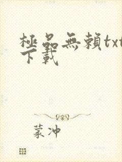 极品无赖txt下载
