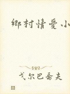 乡村情爱小说