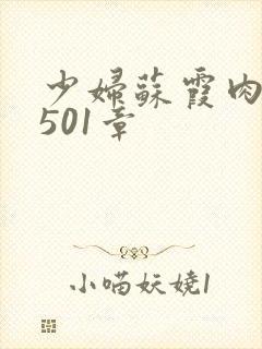 少妇苏霞肉欲第501章