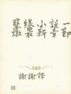 孽缘小说一家乱炖最新章节阅读