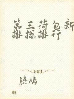 第三荷包新鲜肉排总排行