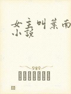 女主叫叶南初的小说