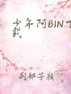 少年阿BIN下载