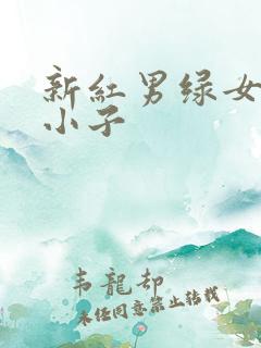 新红男绿女之坏小子