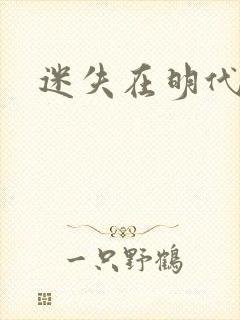 迷失在明代末年