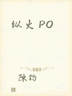 纵火 PO