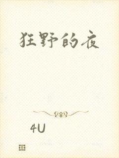 狂野的夜