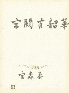 宫阙有韶华