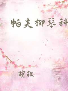 帕夫柳琴科二世