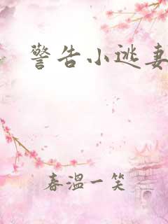 警告小逃妻