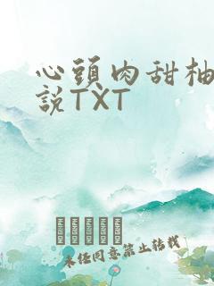 心头肉甜柚子小说TXT