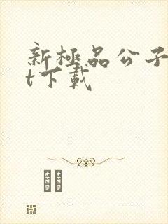 新极品公子txt下载