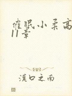 催眠小柔高达第11章