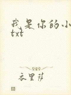 我是你的小小狗txt
