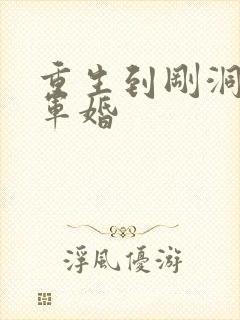 重生到刚洞房的军婚