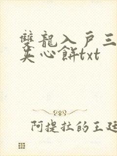 双龙入户三人行夹心饼txt