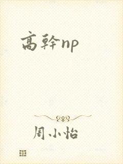 高干np