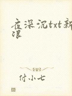 夜深沉txt新浪