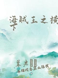 海贼王之横行天下