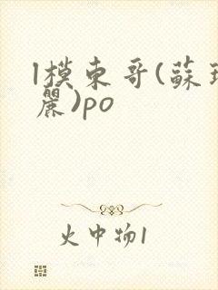 l模东哥(苏玛丽)po