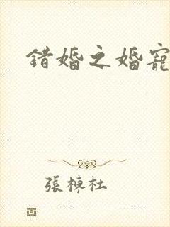 错婚之婚宠一世