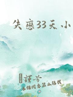 失恋33天小说