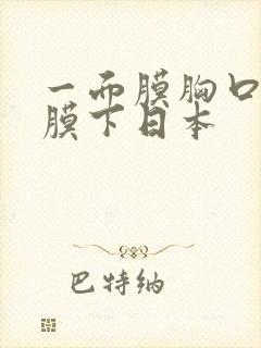 一面膜胸口一面膜下日本