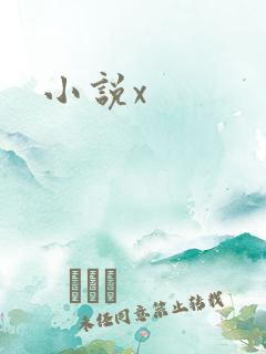 小说x
