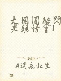 大团圆结闪闪发光亲情会1