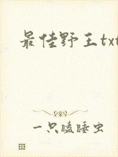 最佳野王txt