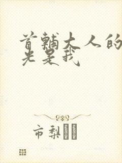 首辅大人的白月光是我