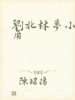 刘北林梦小说主角