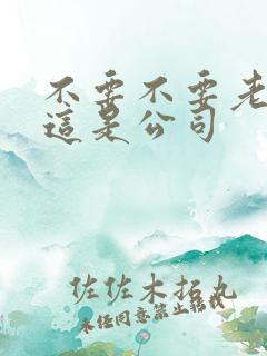 不要不要老板别这是公司