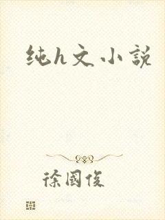 纯h文小说