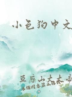小色狗中文网