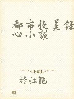 都市收美录宁素心小说