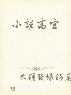 小说高官