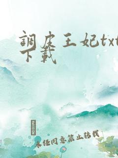 调皮王妃txt下载