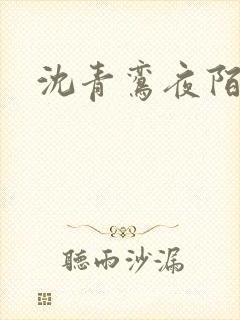 沈青鸾夜陌凌