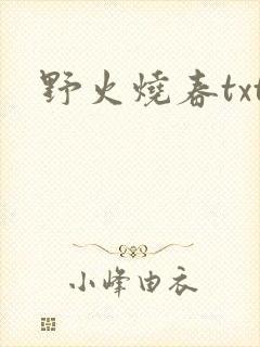 野火烧春txt